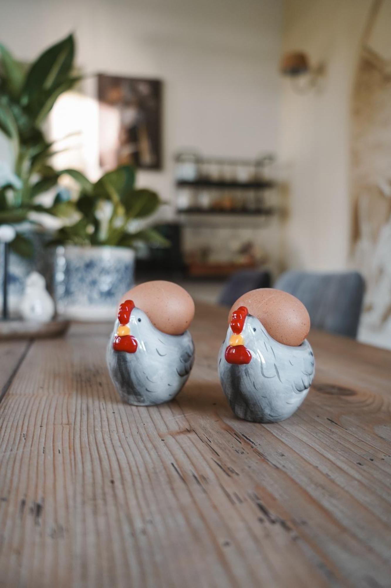 B&B Johannesberg Oldebroek Kültér fotó